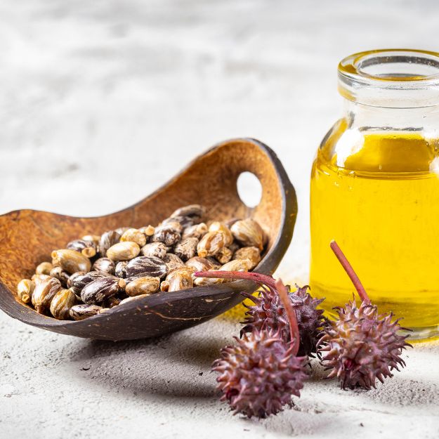 Oil Seeds